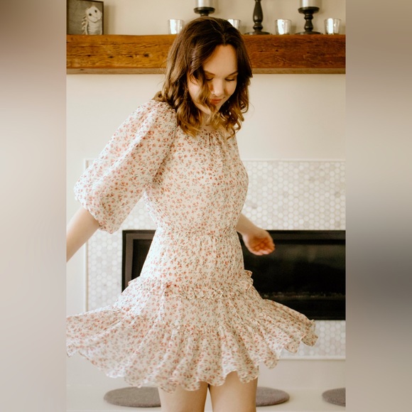 Sheer Sleeved Floral Lauren Dress - Picture 4 of 5